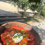 Domaine Lessya, Insolite & Bed and Breakfast