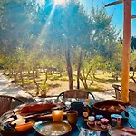 Bed and Breakfast Domaine Lessya, Insolite & Mauguio