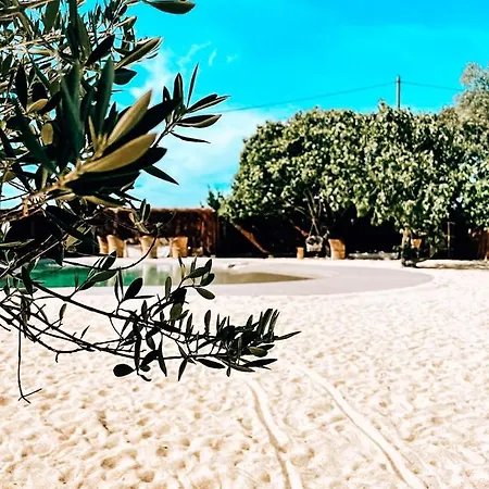 Domaine Lessya, Insolite &
