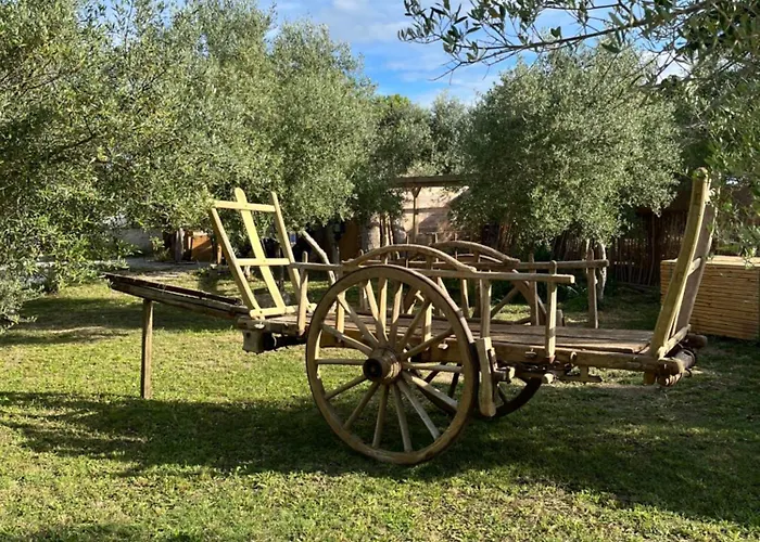 Domaine Lessya, Insolite & 4* מוגויו