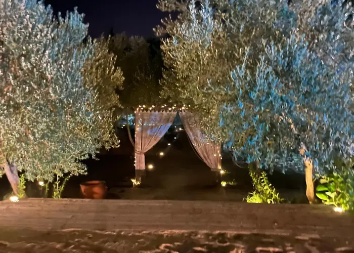 Domaine Lessya, Insolite & 4* מוגויו