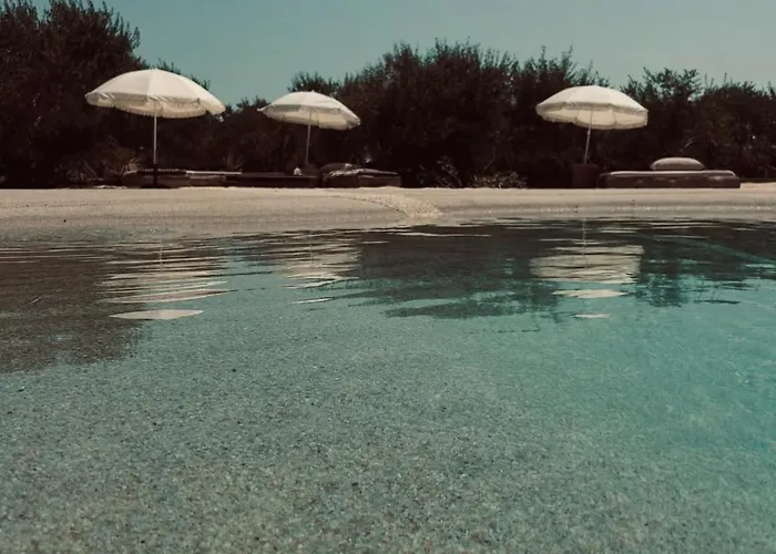 Domaine Lessya, Insolite & מוגויו